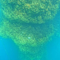  Van Gölü'nde keşfedilenlerin en büyüğü!