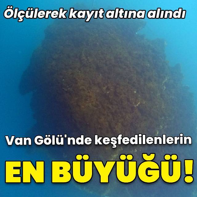 Van Gölü'nde keşfedilenlerin en büyüğü!
