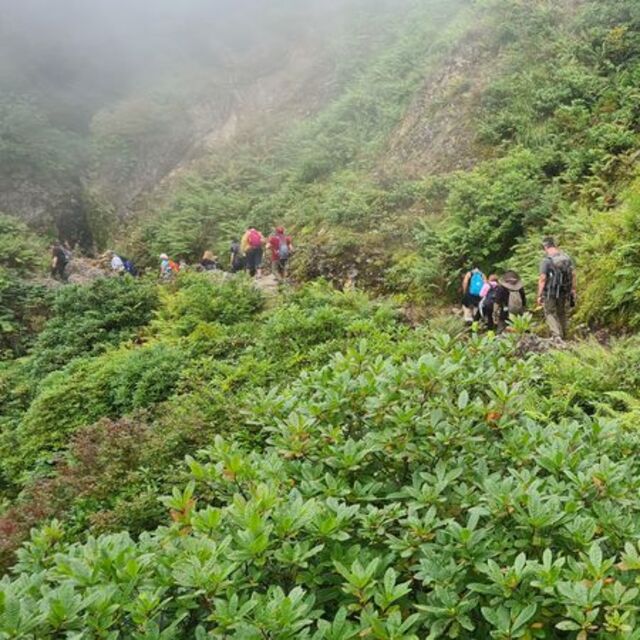 Giresun'da otçu göçü geleneği