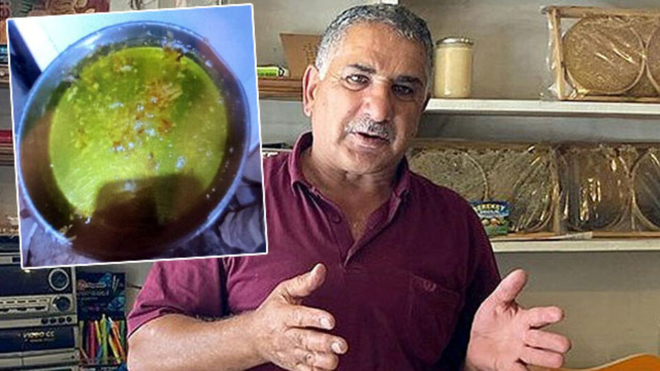 Görünce bakmaya doyamadı! İşte yeşil balın sırrı!