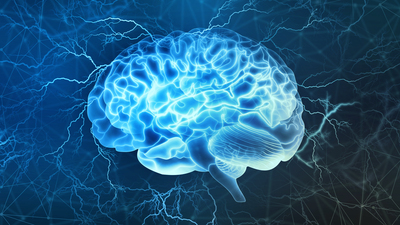 Araştırma: Bu besinler demans riskini azaltıyor