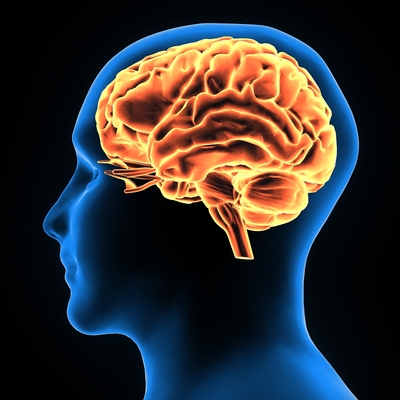 İşlevini yerine getiremeyen beyin hücreleri, obezite ve diyabete yol açabiliyor