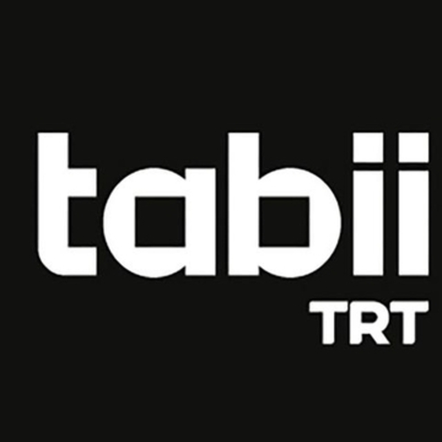 Tabii ücretli mi, nasıl maç izlenir?