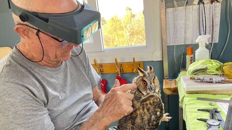 Güney Afrikalı Mike Ford'un Iğdır'daki 'kuş' yolculuğu