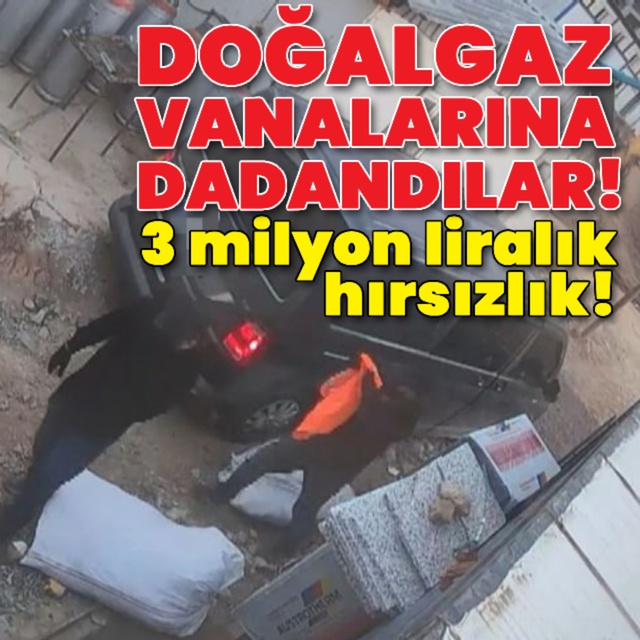 3 milyonluk vanaları çaldılar!