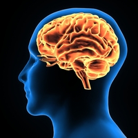 Alzheimer hastalarına 'yapay zeka' desteği