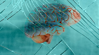 Alzheimer'ın iki ilacı! Düzenli fiziksel aktivite ve Akdeniz tipi beslenme