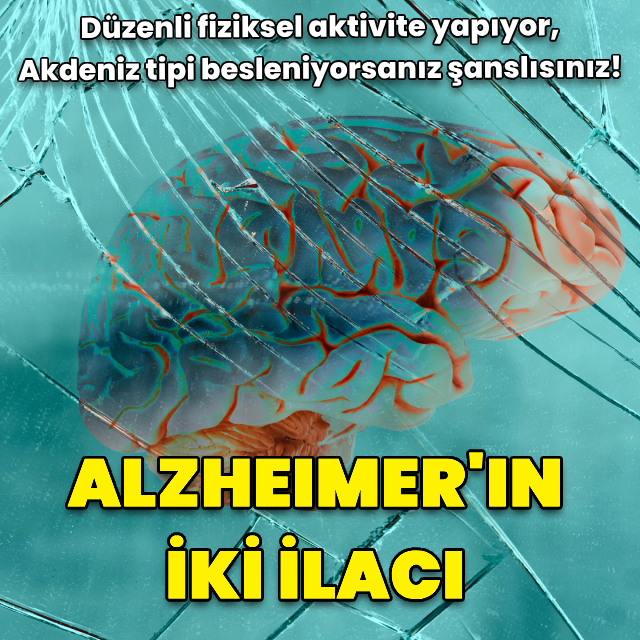 Alzheimer'ın iki ilacı! Düzenli fiziksel aktivite ve Akdeniz tipi beslenme