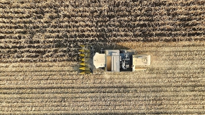 23 yıl aradan sonra ilk kez tarım sayımı yapılacak