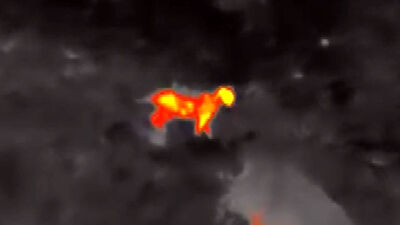 Gece kamerasına yansıdı! Heyecanlandıran görüntü