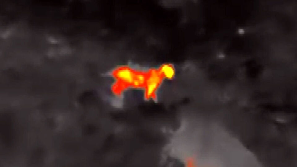 Gece kamerasına yansıdı! Heyecanlandıran görüntü