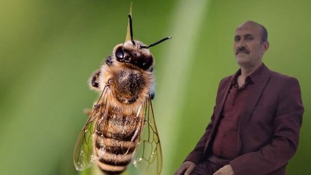Balın tadına bakarken hayatını kaybetti