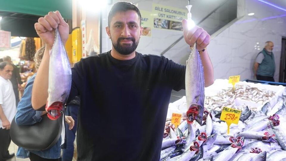 Palamut fiyatlarında artış