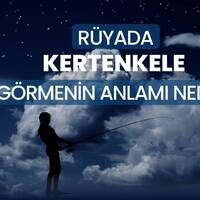 Rüyada kertenkele görmek ne anlama gelir?