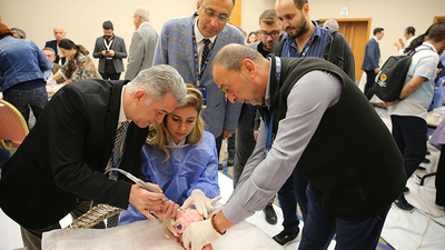 Beyin ameliyatlarının inceliklerini koyun kafatası ve omurgası üzerinde anlattılar