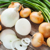 Kuru soğan ile yeşil soğan arasındaki fark nedir?