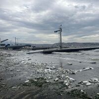  Birçok sebep bir arada!