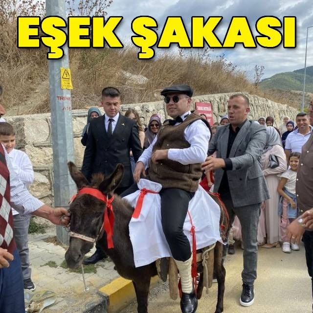 Eşek şakası