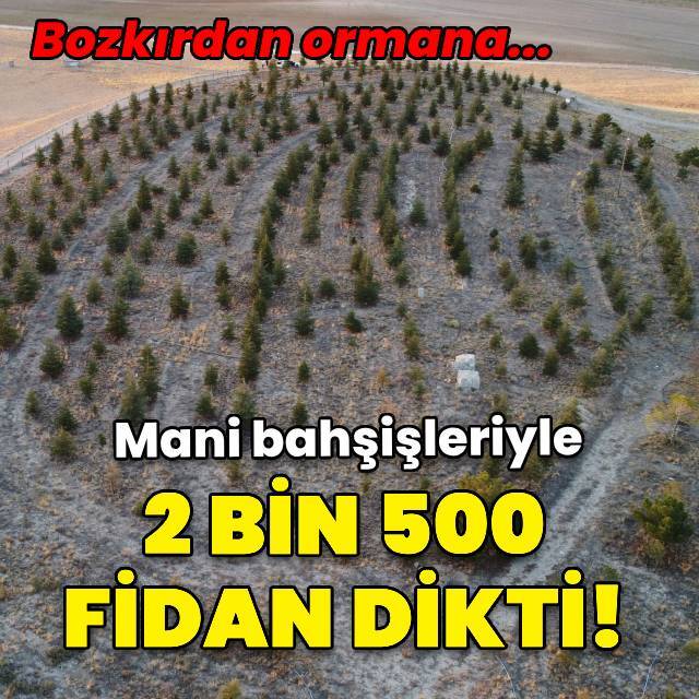 Mani bahşişleriyle 2 bin 500 fidan dikti!
