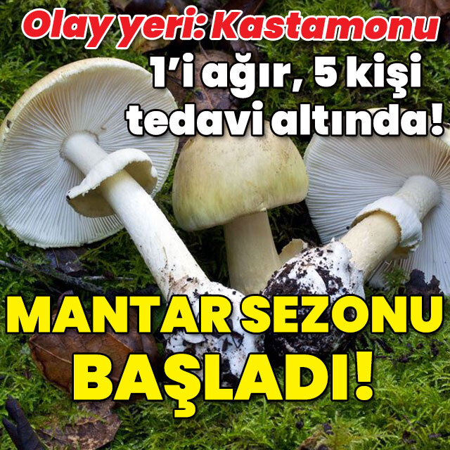 Mantar sezonu başladı! Korkutan haber!