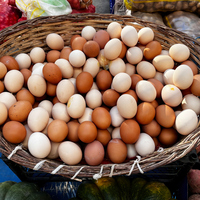 Kahverengi mi, beyaz mı? Hangi yumurta daha sağlıklı?