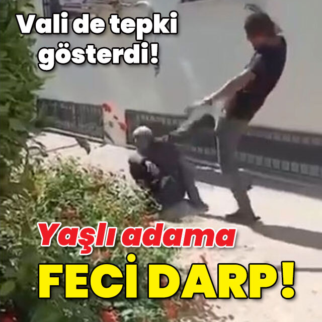 Vali de tepki gösterdi! Yaşlı adama feci darp!
