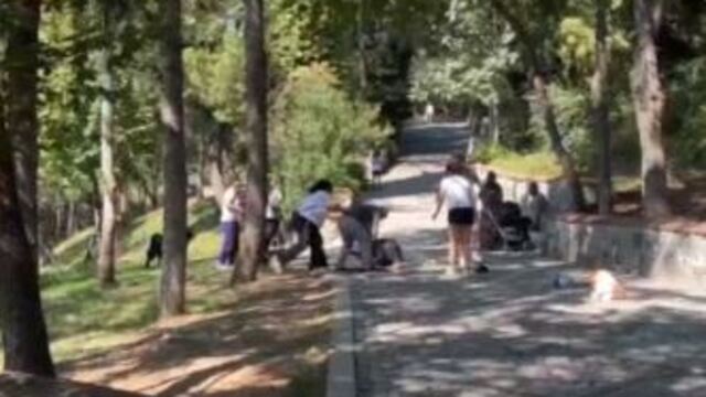 Maçka Parkı'nda biri kadın 2 kişiye saldırı