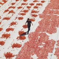 Günlük hayatın içindeki şiir ve ironi