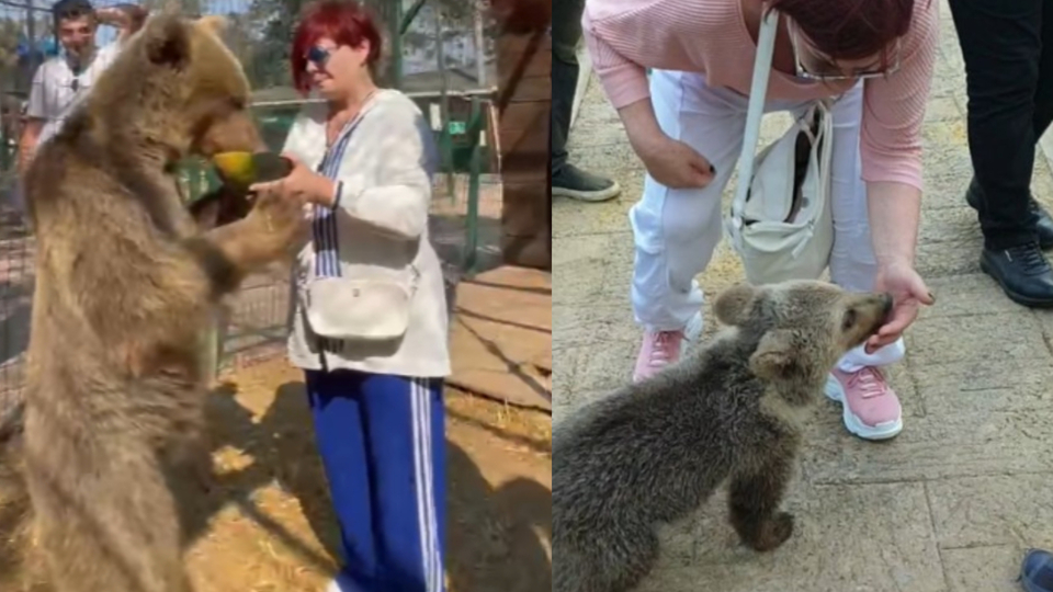 Elini ısıran ayıyı ziyaret etti