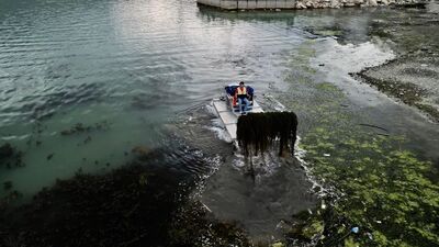 Ayvacık'taki göl yosunlardan temizlendi