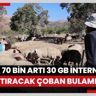 Sürü sahipleri aylık 70 bin artı 30 GB internete çalıştıracak çoban bulamıyor