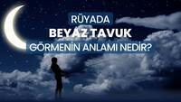 Rüyada Beyaz Tavuk Görmek Ne Anlama Gelir?
