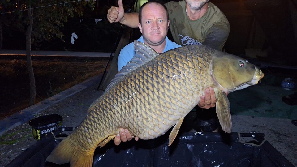 Dev sazan görenleri hayrete düşürdü