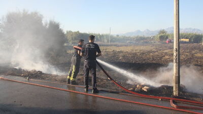 Antalya'da sazlık alanda yangın