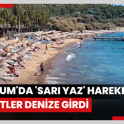 Bodrum'da 'sarı yaz' hareketliliği  turistler denize girdi