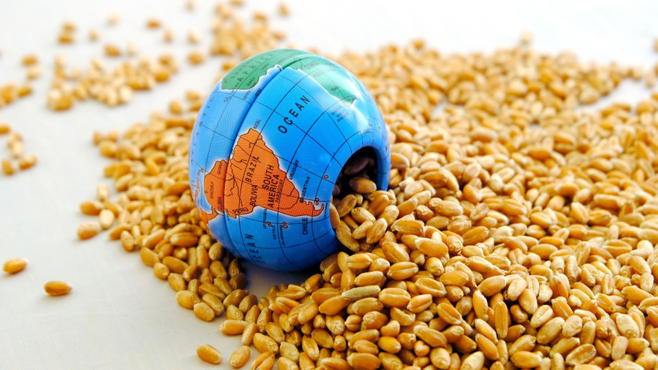 Küresel gıda fiyatlarında 18 ayın en hızlı artışı