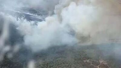 İzmir'deki yangından iyi haber