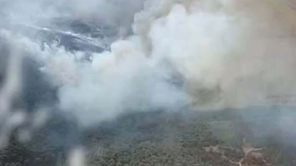 İzmir'deki yangından iyi haber