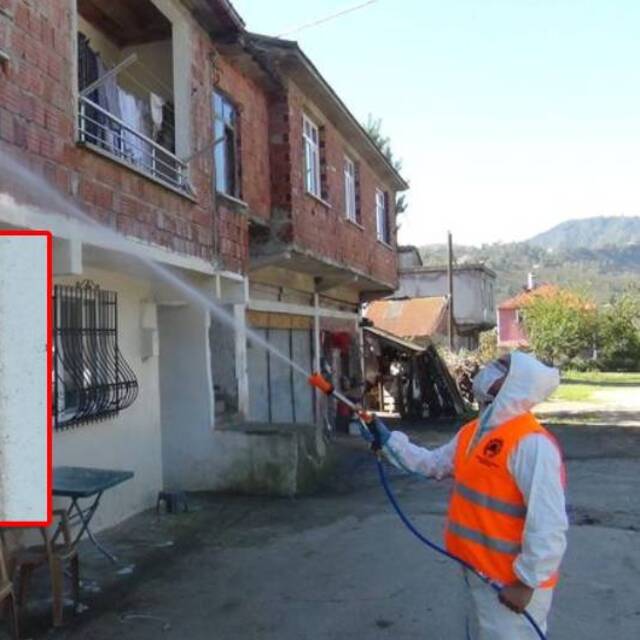Evlere dadandı: İlaçlama timi oluşturuldu