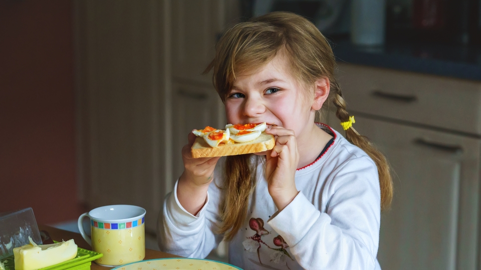 Çocukların gelişiminde yumurta ne kadar önemli?