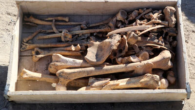 Burdur'da 5 bin yıllık iskelet bulundu