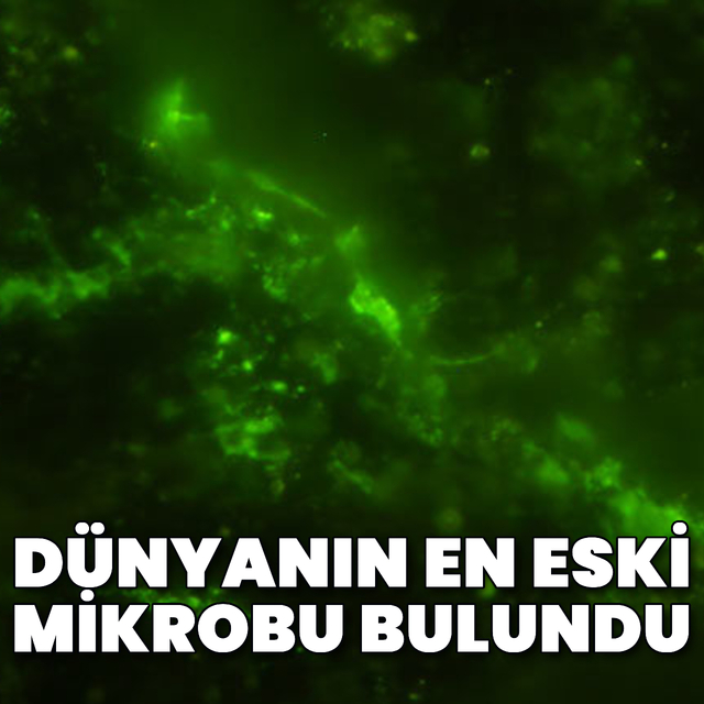 Dünyanın en eski mikrobu bulundu!