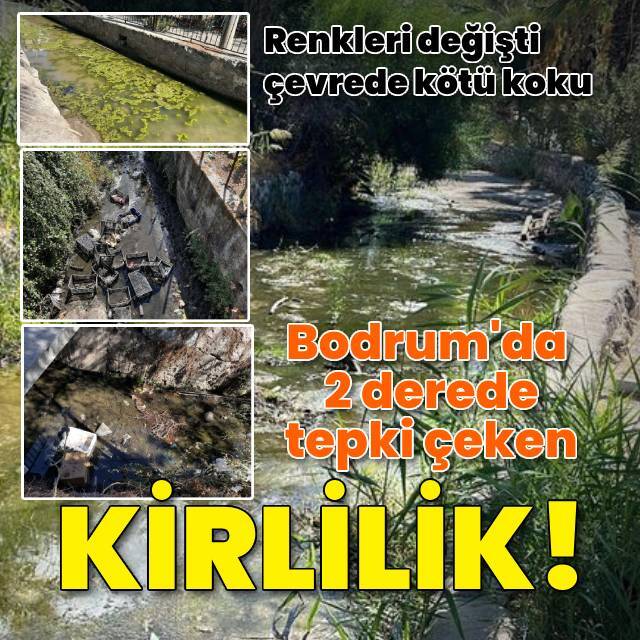 Bodrum'da tepki çeken kirlilik!