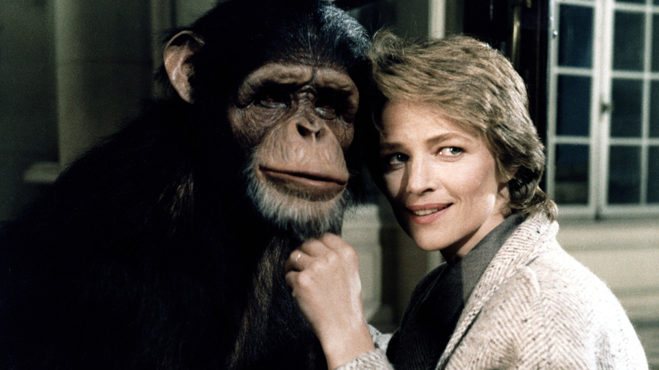 'İnsan Hayvan' seçkisi İstanbul Modern'de