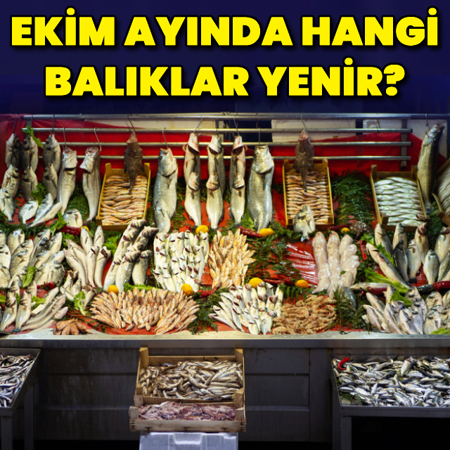 Ekim ayında hangi balıklar yenir?