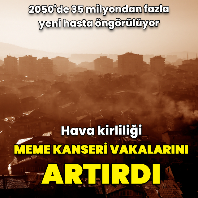Hava kirliliği meme kanseri vakalarında artışa neden oluyor
