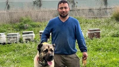 3 metrelik iskeleden denize atladı! Feci ölüm!