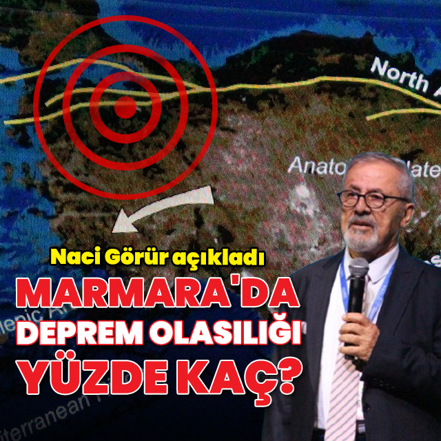 Marmara'da deprem olasılığı yüzde kaç? Naci Görür açıkladı