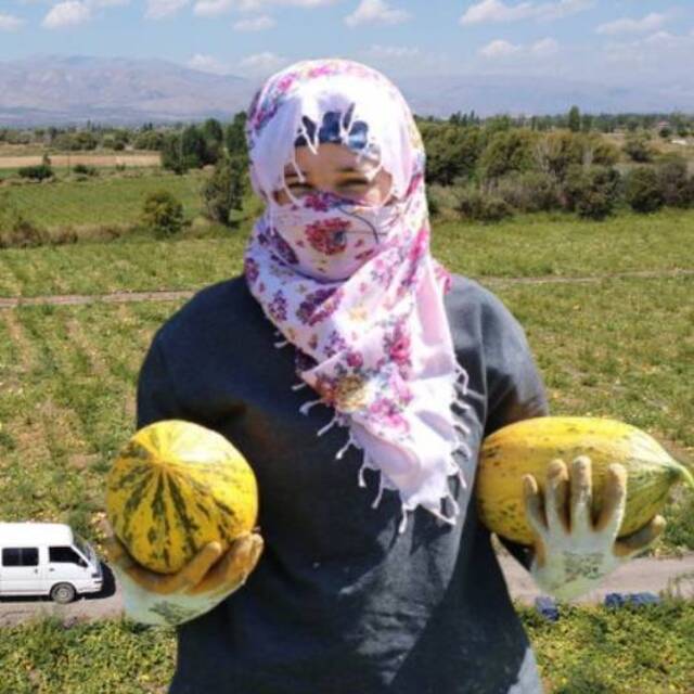 Munzur Dağı eteklerinde üretim artıyor