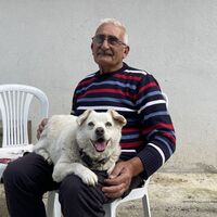 Boncuk'un vefası, Japonya'da belgesele konu oldu